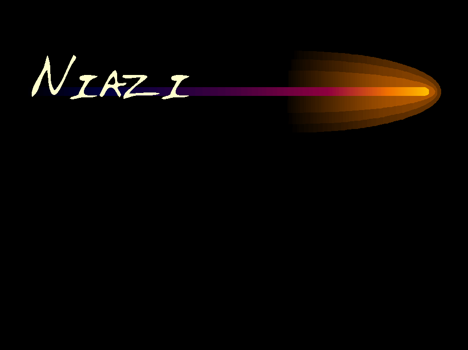 nil3.gif (66351 bytes)